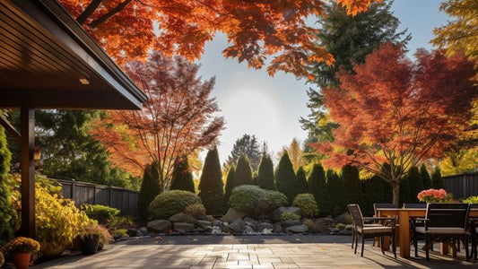 Morning Sunshine in Autumn Backyard - Virtual Background Image for Zoom and Teams Meetings